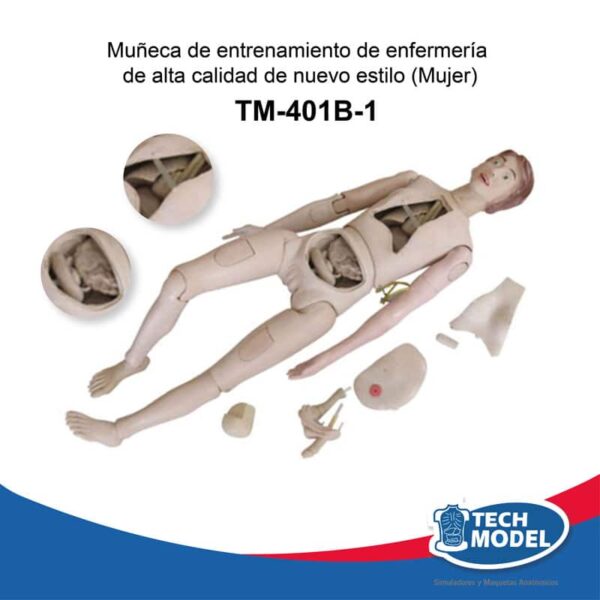 Tm-401B-1-Nuevo-Estilo-De-Muñeca-De-Entrenamiento-De-Enfermeria-De-Alta-Calidad-Femenino