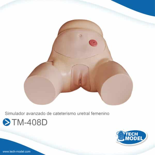 Venta De Tm 408D Simulador Avanzado De Cateterismo Uretral Femenio Scaled Lima Peru