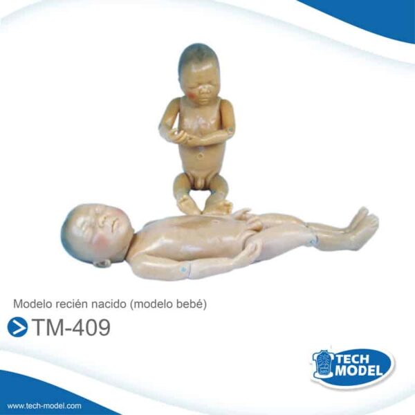 Tm-409-Modelo-De-Recien-Nacido