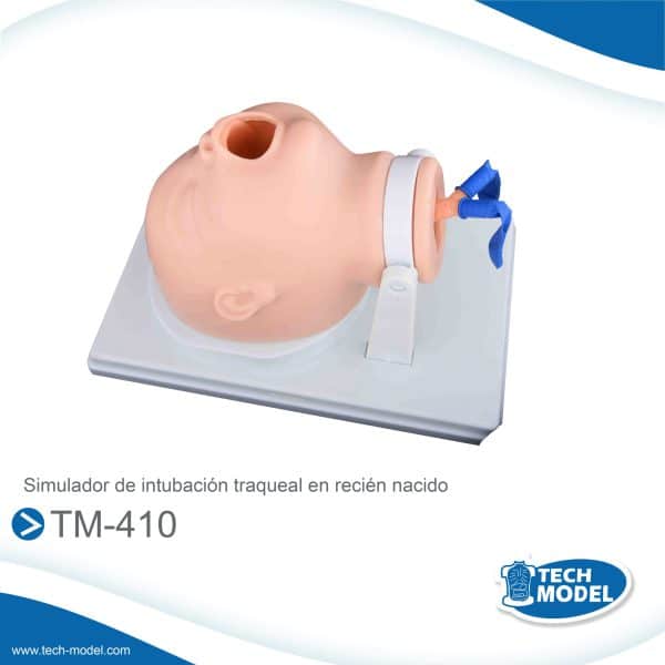 Simulador De Intubacion Traqueal En Recien Nacido