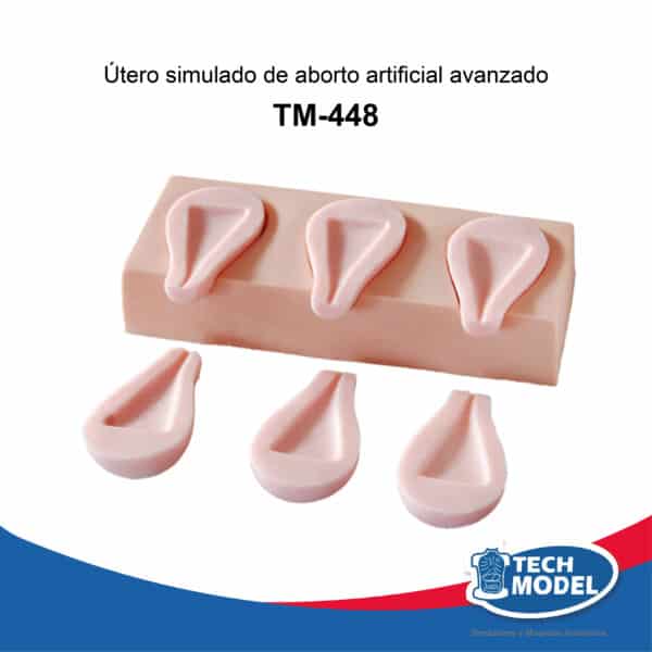 Venta De Tm 448 Utero Simulado De Aborto Artificial Avanzado Scaled Lima Peru