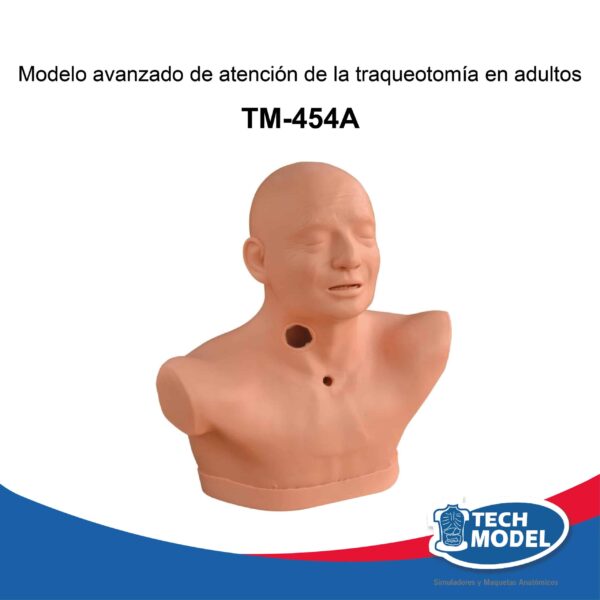 Simulador De Traqueostomia Cuidado En Adultos Tm-454A