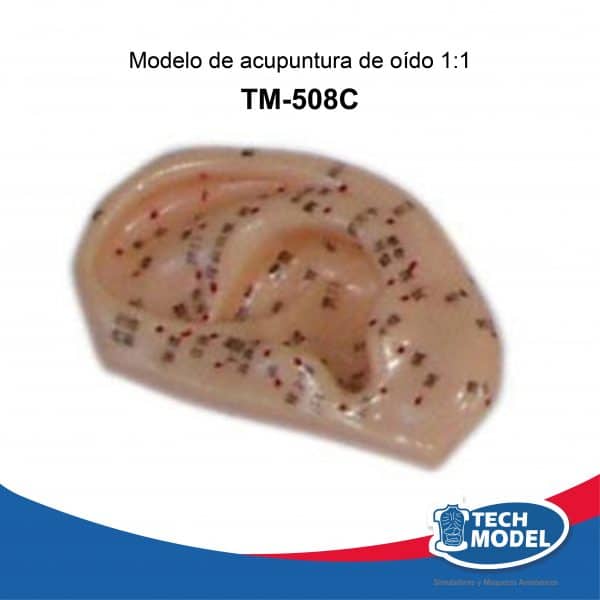 Venta De Tm 508C Modelo De Acupuntura De Oido Lima Peru