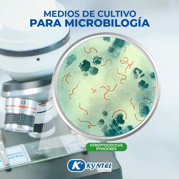 Venta De Laminas Coloreadas Para Microscopia Lima Peru